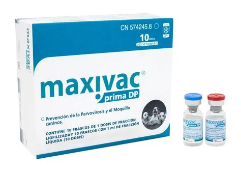 MAXIVAC PRIMA DP 2º